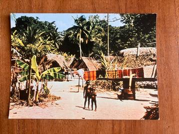 Suriname. Boslanddorp. beschikbaar voor biedingen