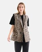 Shoeby gilet Leopard Jacquard - Maat M/L - ZGAN, Kleding | Dames, Bodywarmers, Shoeby, Ophalen of Verzenden