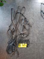 Full hoofdstel, peesbeschermers, bijzet, reflect,bit,, Ophalen of Verzenden, Zo goed als nieuw, Dressuur