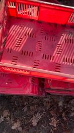 Vleeskratten 10 stuks 50 euro, Ophalen, Doos, 60 cm of meer, Minder dan 35 cm