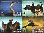 2014 Gambia Fauna Afrikaanse darter wwf., Postzegels en Munten, Postzegels | Thematische zegels, Ophalen of Verzenden, Dier of Natuur