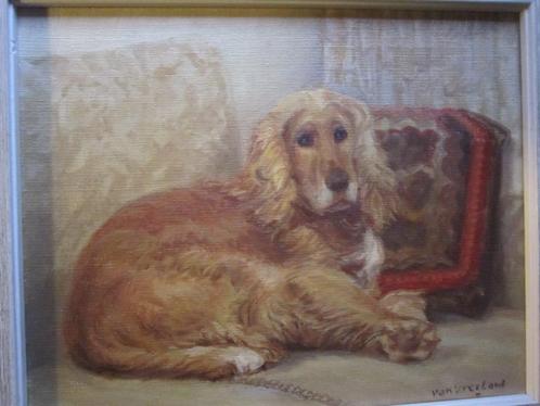Leuk olieverf schild v/e liggende Spaniel Van Vreeland, Antiek en Kunst, Kunst | Schilderijen | Klassiek, Ophalen of Verzenden
