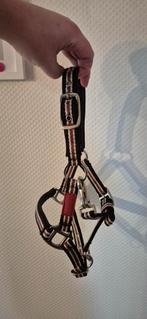 Première Halster maat MINI, Ophalen of Verzenden, Gebruikt, Overige soorten