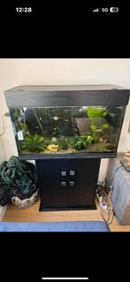 Aquarium, Dieren en Toebehoren, Ophalen, Zo goed als nieuw, Leeg aquarium