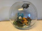Vissenkom XL met accessoires, Dieren en Toebehoren, Ophalen, Zo goed als nieuw, Leeg aquarium