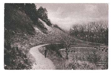 902557	Bergen 	NH	Duinrand	1933	_Gelopen met mooie zegel	Ste beschikbaar voor biedingen