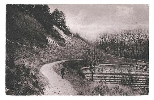 902557	Bergen 	NH	Duinrand	1933	_Gelopen met mooie zegel	Ste, Verzamelen, Ansichtkaarten | Nederland, Gelopen, Noord-Holland, 1920 tot 1940