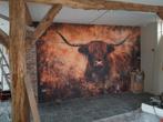 Foto behang  schotse hooglander, Huis en Inrichting, Woonaccessoires | Schilderijen, Tekeningen en Foto's, Ophalen, Nieuw, Foto of Poster