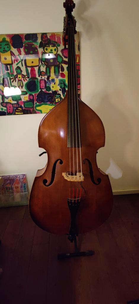 Linkshandige Contrabas - Customized, Muziek en Instrumenten, Strijkinstrumenten | Contrabassen, Gebruikt, Ophalen