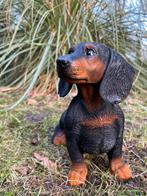 Beeld teckel, tekkel, hond, tuin, gazon 30 cm, Ophalen of Verzenden, Nieuw, Kunststof, Dierenbeeld