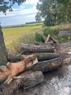 Haardhout stammen, Tuin en Terras, Haardhout, Minder dan 3 m³, Ophalen of Verzenden, Overige houtsoorten, Blokken