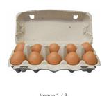 Gezocht gratis eierdozen., Dieren en Toebehoren, Pluimvee | Toebehoren, Ophalen, Zo goed als nieuw