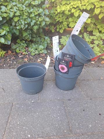 Gratis kweekpotten beschikbaar voor biedingen