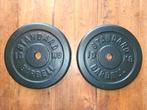 Halterschijven 2 x 10kg gietijzer 30mm, Sport en Fitness, Fitnessmaterialen, Ophalen, Zo goed als nieuw