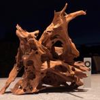 Uniek stuk Kienhout / Driftwood / Spiderwood, Hout Decoratie, Ophalen of Verzenden, Zo goed als nieuw, Plant(en), Steen of Hout