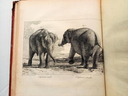 [Olifanten] Houel 1803 Histoire naturelle des deux Éléphants, Antiek en Kunst, Antiek | Boeken en Bijbels, Ophalen of Verzenden
