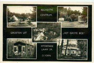 (388-413-011) Doorn Het Grote Bos beschikbaar voor biedingen