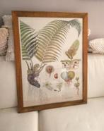 Poster in lijst botanisch Sissy-Boy Wurmfarn 57 x 77 cm, Huis en Inrichting, Woonaccessoires | Schilderijen, Tekeningen en Foto's