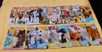 Superleuke Penny tijdschriften - 25 stuks, Ophalen of Verzenden, Gelezen, Sport en Vrije tijd