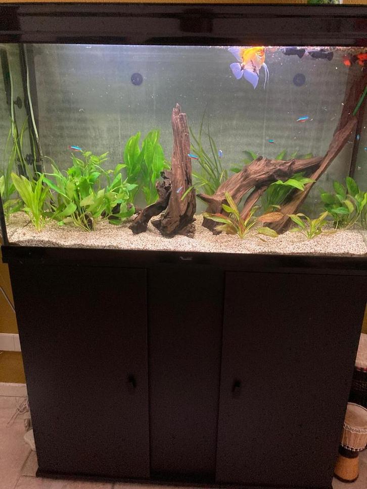 Aquariumset  240 liter, Dieren en Toebehoren, Vissen | Aquaria en Toebehoren, Ophalen of Verzenden
