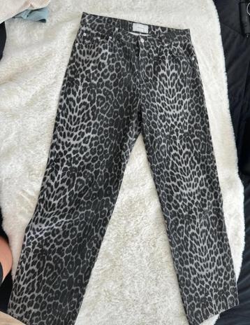 Flaired panter broek beschikbaar voor biedingen