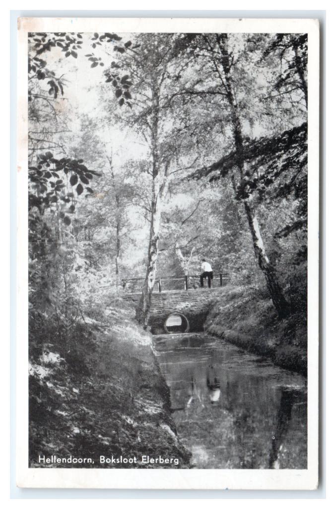 Hellendoorn, Boksloot Elerberg, Verzamelen, Ansichtkaarten | Nederland, Gelopen, Overijssel, 1940 tot 1960, Verzenden