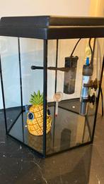 Aquarium set, Ophalen, Leeg aquarium