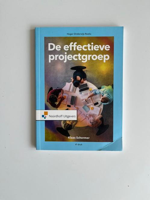 Klaas Schermer - De effectieve projectgroep, Boeken, Schoolboeken, Zo goed als nieuw, Nederlands, Overige niveaus, Ophalen of Verzenden