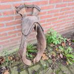 Paardenhaam, Ophalen, Gebruikt