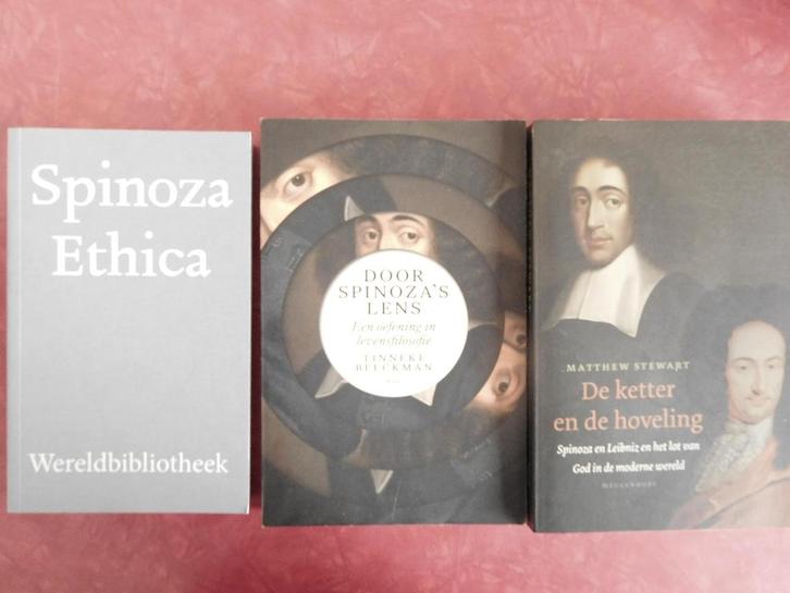 Spinoza Ethica Door Spinoza's lens De ketter en de hoveling, Boeken, Filosofie, Zo goed als nieuw, Ophalen of Verzenden
