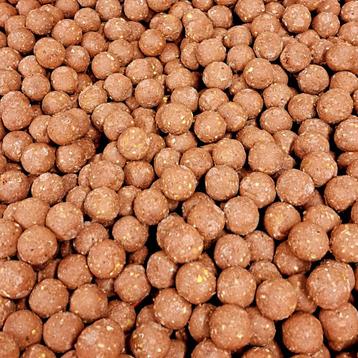 Bloodworm boilies beschikbaar voor biedingen