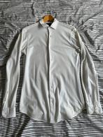 Wit superstretch overhemd, Kleding | Heren, Overhemden, Halswijdte 38 (S) of kleiner, Wit, Zo goed als nieuw, Chamberlain