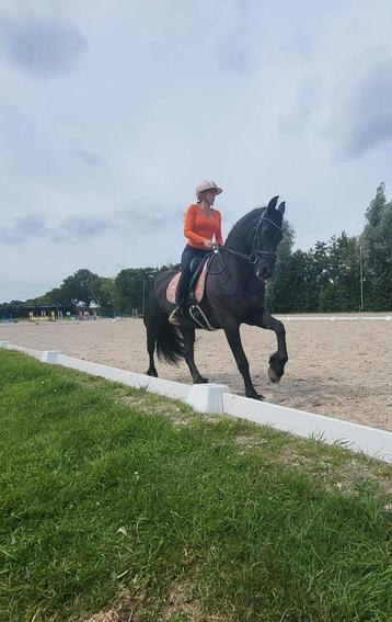 Bijrijder gezocht beschikbaar voor biedingen