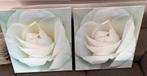 Ikea Foto Print Rozen 53x53 cm, Ophalen, Gebruikt, 50 tot 75 cm
