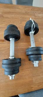 Set Dumbbells - Halters 10kg, Ophalen, Gebruikt, Rug, Dumbbell