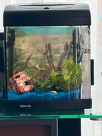 2 kleine aquariums, Ophalen of Verzenden, Zo goed als nieuw, Gevuld zoetwateraquarium