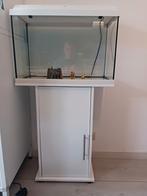 Juwel PrimoLux 60 aquarium compleet met meubel, Dieren en Toebehoren, Vissen | Aquaria en Toebehoren, Ophalen, Gebruikt, Leeg aquarium