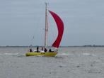Mooie en snelle Pion met nieuwe North Sails zeilen !!, Watersport en Boten, Ophalen, Gebruikt, Diesel, Tour-wedstrijdjacht