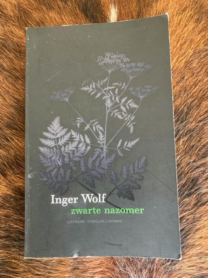 Zwarte nazomer - Inger Wolf - thriller , Boeken, Thrillers, Zo goed als nieuw, Scandinavië, Ophalen of Verzenden