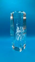 Sterrenbeeld Waterman, 3D glas/kristal in zuil. Gaaf., Verzamelen, Ophalen of Verzenden, Zo goed als nieuw