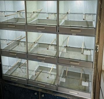 Te koop blok van 9 broedkooien.  beschikbaar voor biedingen