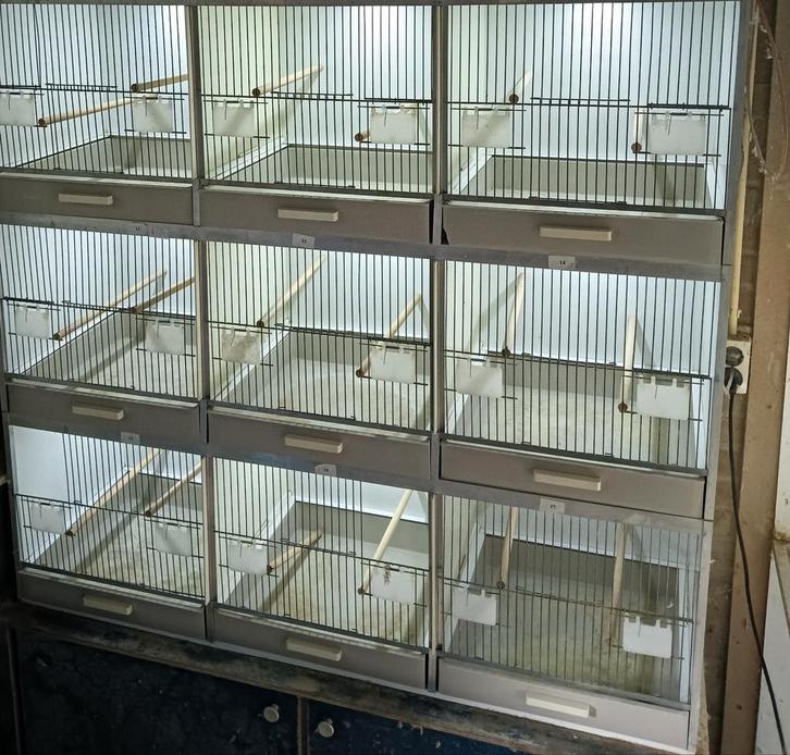 Te koop blok van 9 broedkooien., Dieren en Toebehoren, Vogels | Hokken en Kooien, Zo goed als nieuw, Broedkooi of Kweekkooi, Overige materialen