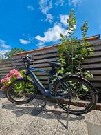 Kalkhoff Image 5.B Excite+ BLX 625W
H58
deep sky blue, Ophalen, Zo goed als nieuw, 50 km per accu of meer, Overige merken