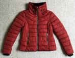 Karmozijnrode winterjas, Ophalen of Verzenden, Zo goed als nieuw, Maat 34 (XS) of kleiner, Rood