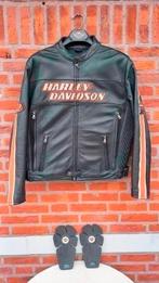 Harley Davidson "TORQUE" jas - incl protectie, Motoren, Kleding | Motorkleding, Jas | leer