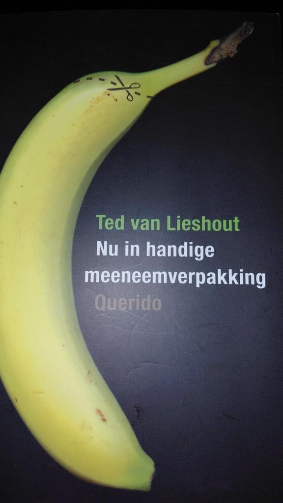 Ted van Lieshout - Nu in handige meeneemverpakking, Ophalen of Verzenden, Zo goed als nieuw, Ted van Lieshout