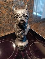 BEELD BULLDOG 31 CM, Antiek en Kunst, Kunst | Beelden en Houtsnijwerken, Ophalen of Verzenden