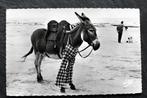 De ezel heeft zijn pyjamabroek nog aan, 1960, Ile de Re, Verzamelen, Ansichtkaarten | Dieren, Gelopen, Overige soorten, 1960 tot 1980