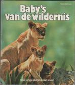 Natuurboeken door HEINZ SIELMANN, Boeken, Natuur, Natuur algemeen, Ophalen of Verzenden, Zo goed als nieuw