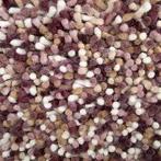 Vloerkleden, Ophalen, 200 cm of meer, Wollen vloerkleden vloerkleed Outlet, Rechthoekig